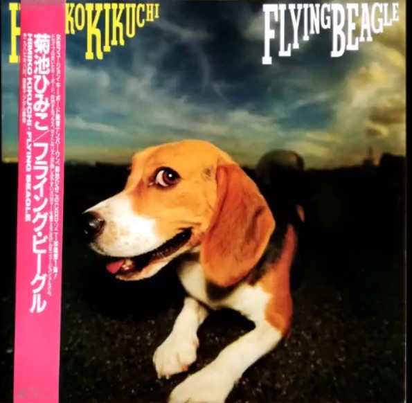 Himiko Kikuchi - Flying Beagle